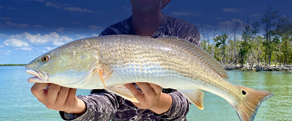 Best Fishing Charters Ten Thousand Islands | Everwater Charters & Tours