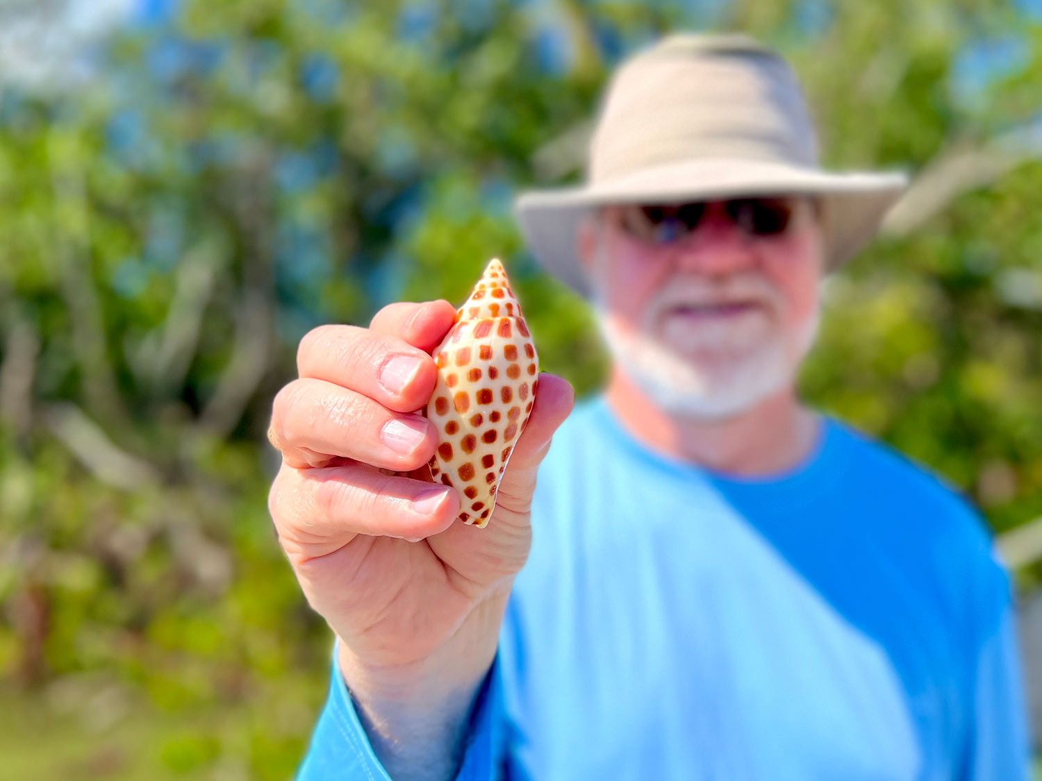 Junonia Shell discovered on an Everwater Charters & Tours Shelling Tour of the Ten Thousand Islands, Florida