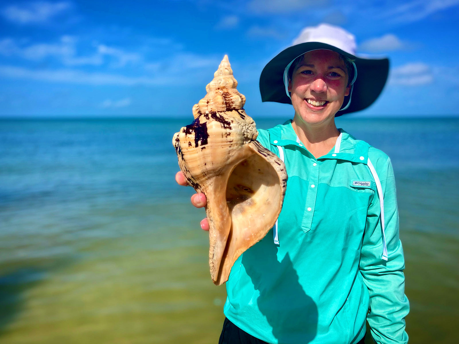 Large Horse Conch discovered on an Kice Island. Everwater Charters & Tours Shelling Tour of the Ten Thousand Islands, Florida